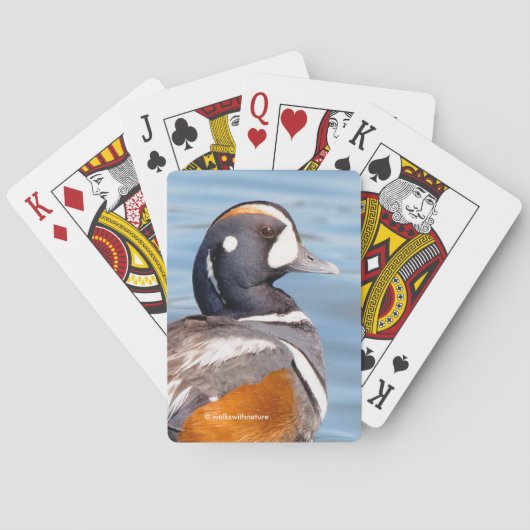 Jeu De Cartes Beau canard arlequin sur le rocher (dos)