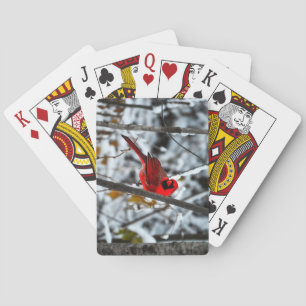 Jeu De Cartes Beau cardinal rouge vif dans la neige