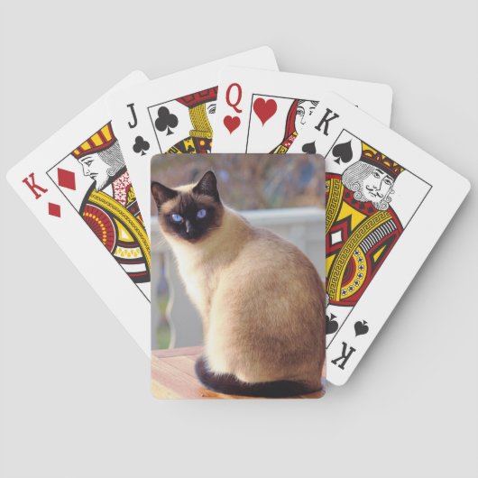 Jeu De Cartes Beau chat siamois aux yeux bleus (dos)