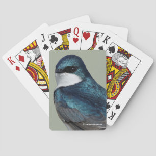 Jeu De Cartes Beau oiseau chevalier en hirondelle d'arbre sur fi