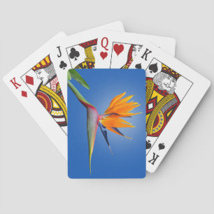 Jeu De Cartes Beau Oiseau de Paradise Strelitzia Flower