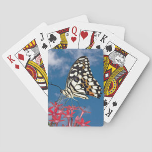 Jeu De Cartes Beau Papillon