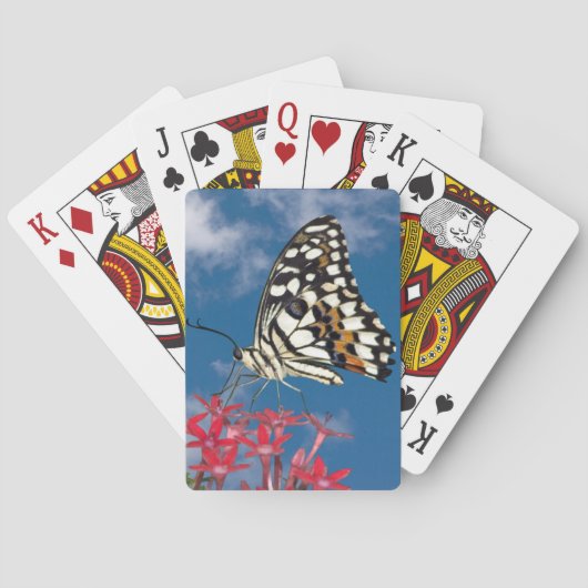 Jeu De Cartes Beau Papillon (dos)