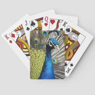 Jeu De Cartes Beau Peacock