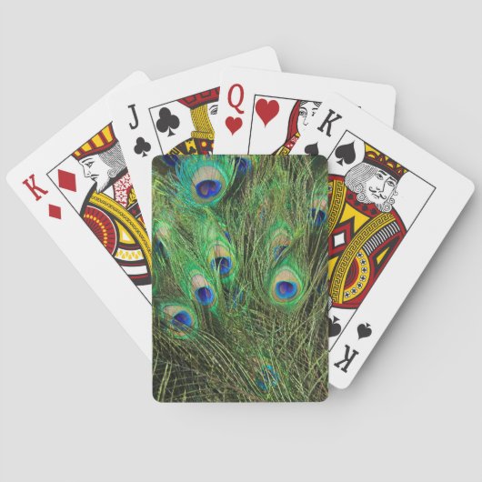 Jeu De Cartes Beau Peacock (dos)