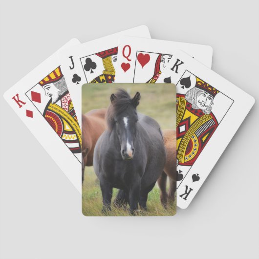 Jeu De Cartes Beaux chevaux (dos)