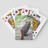 Jeu De Cartes Beaver (dos)