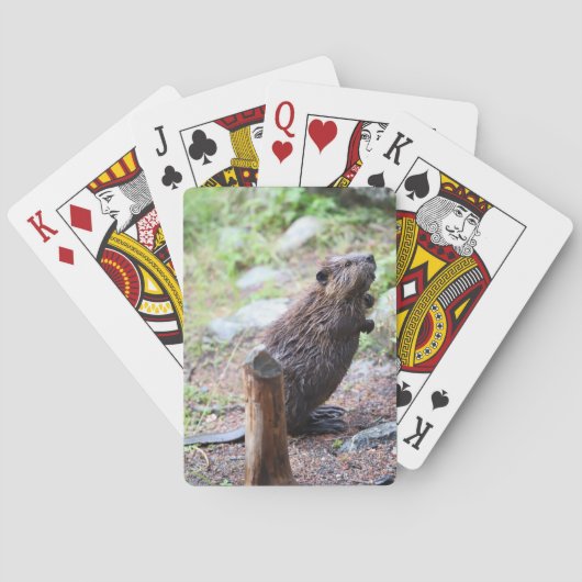 Jeu De Cartes Beaver (dos)