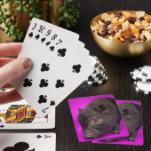 Jeu De Cartes Bébé Cochon Noir (In Situ)