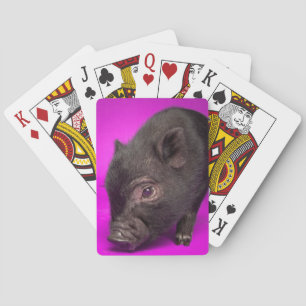 Jeu De Cartes Bébé Cochon Noir