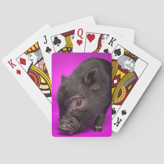 Jeu De Cartes Bébé Cochon Noir (dos)