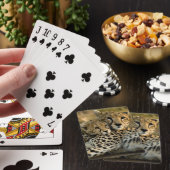 Jeu De Cartes Bébé guépard câlinant avec sa mère (In Situ)