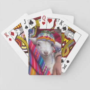 Jeu De Cartes Bébé mignon agneau mouton animal jouer cartes