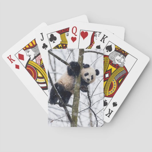 Jeu De Cartes Bébé panda dans l'arbre (dos)