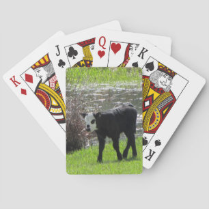 Jeu De Cartes Bébé Vache Jouant Aux Cartes