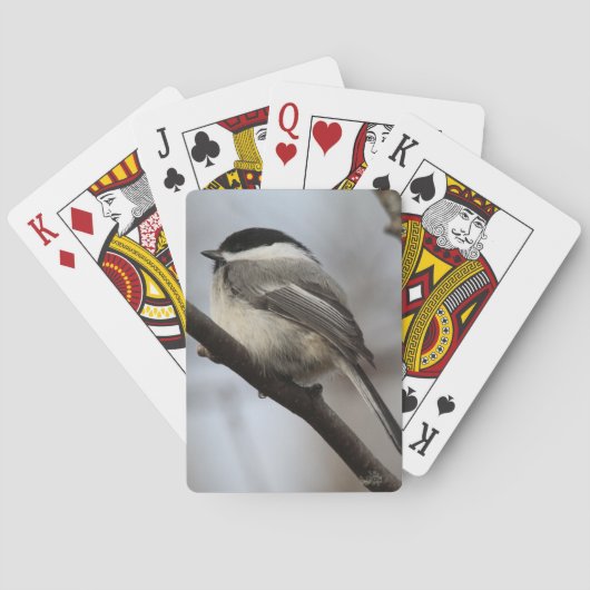 Jeu De Cartes Bécasseau noir (dos)