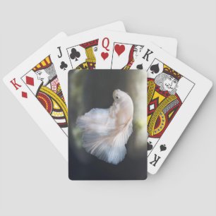 Jeu De Cartes Belle Betta blanche Siamese Lutter Poisson