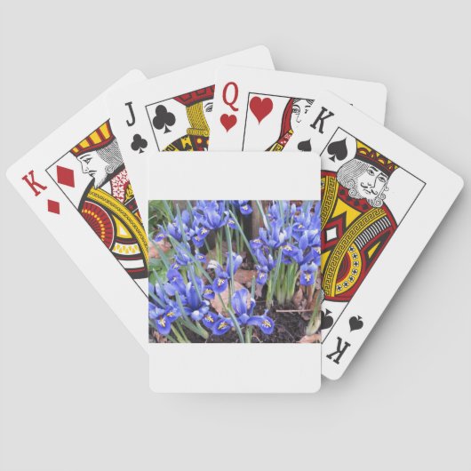 JEU DE CARTES BELLE IRIS (dos)