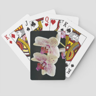 Jeu De Cartes Belle Orchidée blanche et rose avec Arrière - plan