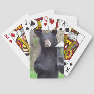 Jeu De Cartes Belle Ours Noir