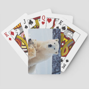 Jeu De Cartes Belle Ours polaire et ses petits