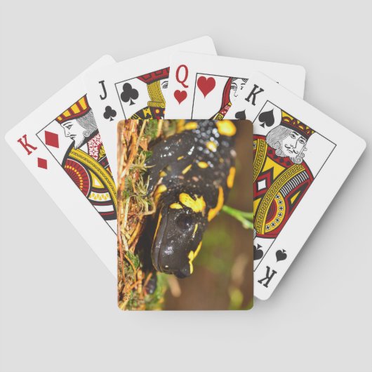 Jeu De Cartes Belle salamandre de feu (dos)