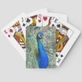 Jeu De Cartes Belles plumes de paon bleu (dos)