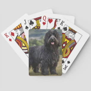 Jeu De Cartes Bergame de Laine Noire,