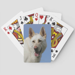 Jeu De Cartes Berger allemand blanc