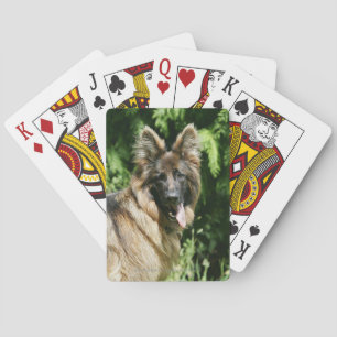 Jeu De Cartes Berger allemand Brown long haïred 1