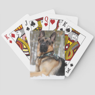 Jeu De Cartes Berger Allemand En Neige