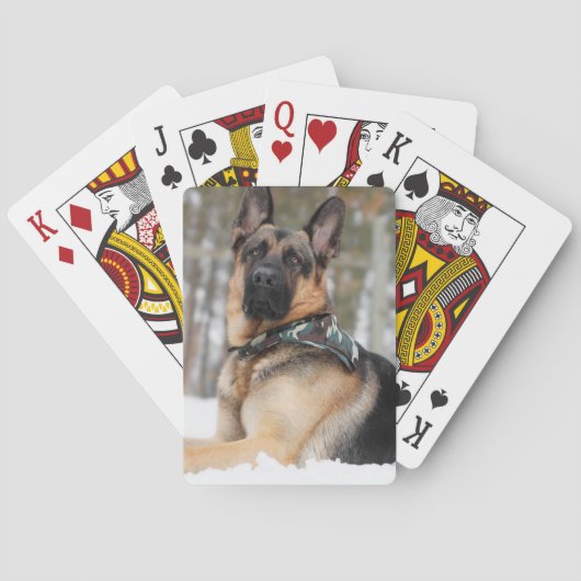 Jeu De Cartes Berger Allemand En Neige (dos)