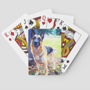 Jeu De Cartes Berger Allemand Jouer aux cartes