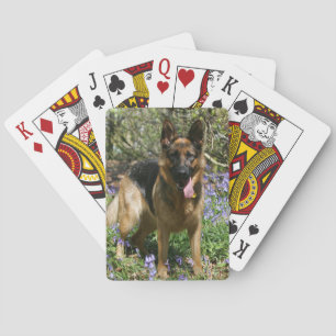 Jeu De Cartes Berger Allemand Laissant tomber