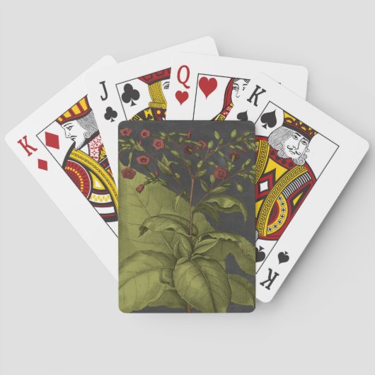 Jeu De Cartes Besler Dramatique I (dos)