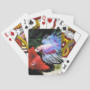 Jeu De Cartes Betta