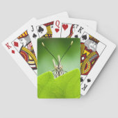 Jeu De Cartes Beurre Drôle Peeks Au-Dessus De La Feuille (dos)