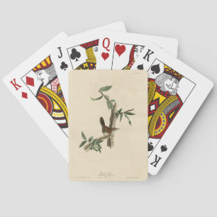 Jeu De Cartes Bewick's Wren de Audubon's Birds of America