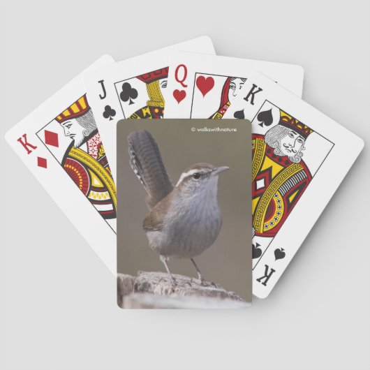 Jeu De Cartes Bewick's Wren Songbird sur Treestump (dos)