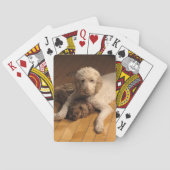 Jeu De Cartes BFF Goldendoodle (dos)
