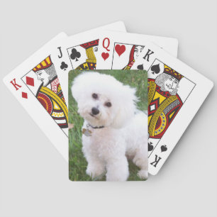 Jeu De Cartes Bichon Frise Dog Playing Cards