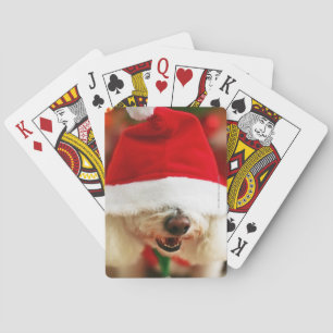 Jeu De Cartes Bichon Frise puppy wearing Santa costume