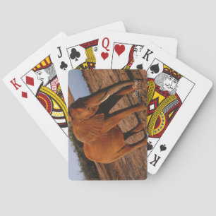 Jeu De Cartes Big Red