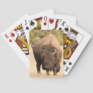 Jeu De Cartes Bison