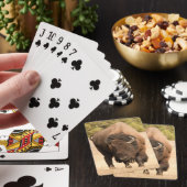Jeu De Cartes Bison (In Situ)