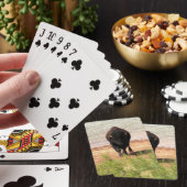 Jeu De Cartes Bison à l'eau (In Situ)