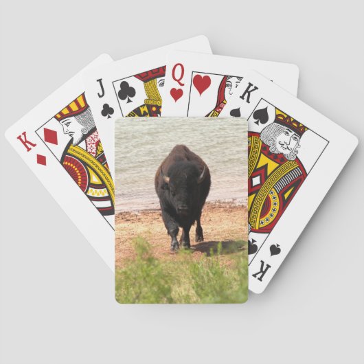 Jeu De Cartes Bison à l'eau (dos)