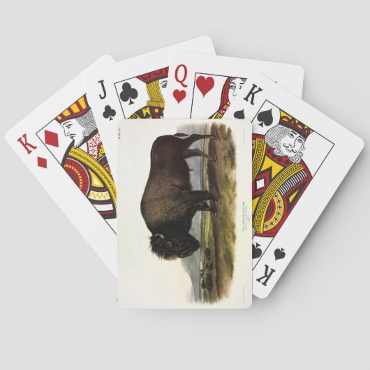 Jeu De Cartes Bison américain, ou bison (bison) - Audubon (dos)