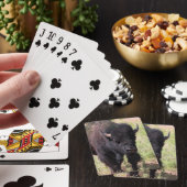 Jeu De Cartes Bison de près (In Situ)