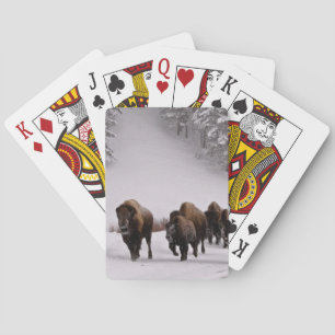 Jeu De Cartes Bison en hiver